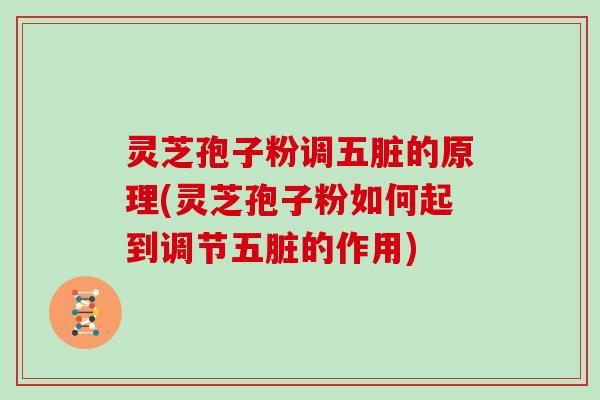 灵芝孢子粉调五脏的原理(灵芝孢子粉如何起到调节五脏的作用)-第1张图片-灵芝大师 灵芝孢子粉调五脏的原理(灵芝孢子粉如何起到调节五脏的作用)-第1张图片-灵芝大师