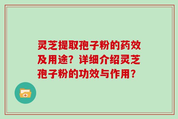 灵芝提取孢子粉的药效及用途？详细介绍灵芝孢子粉的功效与作用？-第1张图片-灵芝大师
