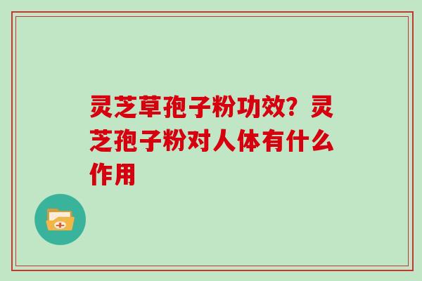 灵芝草孢子粉功效？灵芝孢子粉对人体有什么作用