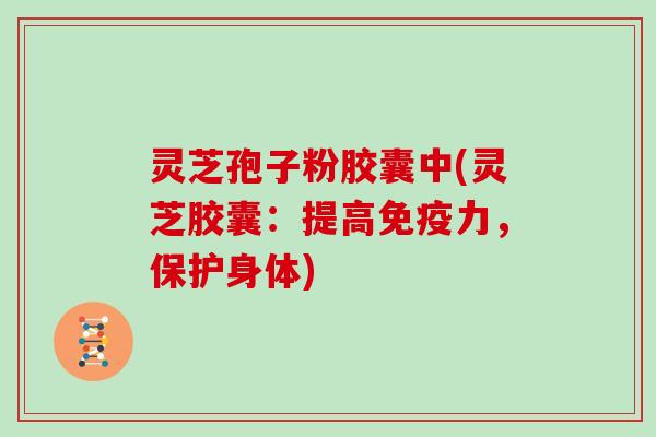 灵芝孢子粉胶囊中(灵芝胶囊:提高免疫力,保护身体)-第1张图片-灵芝大师 灵芝孢子粉胶囊中(灵芝胶囊:提高免疫力,保护身体)-第1张图片-灵芝大师
