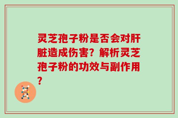 灵芝孢子粉是否会对肝脏造成伤害?解析灵芝孢子粉的功效与副作用?-第1张图片-灵芝大师 灵芝孢子粉是否会对肝脏造成伤害?解析灵芝孢子粉的功效与副作用?-第1张图片-灵芝大师