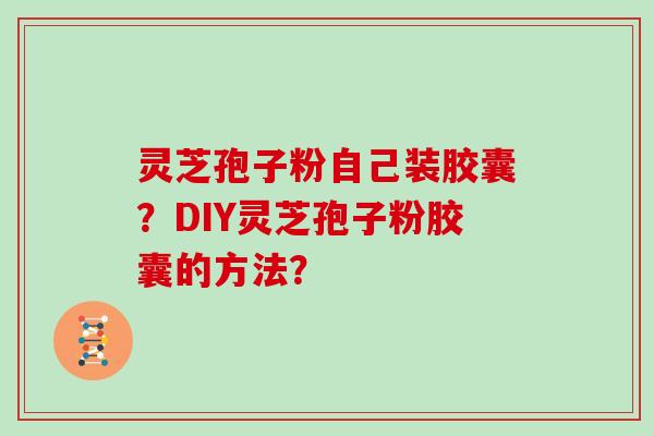 灵芝孢子粉自己装胶囊？DIY灵芝孢子粉胶囊的方法？