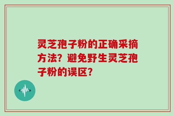 灵芝孢子粉的正确采摘方法？避免野生灵芝孢子粉的误区？