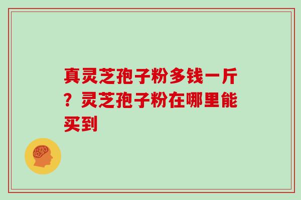 真灵芝孢子粉多钱一斤？灵芝孢子粉在哪里能买到
