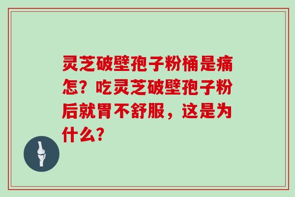 灵芝破壁孢子粉桶是痛怎？吃灵芝破壁孢子粉后就胃不舒服，这是为什么？