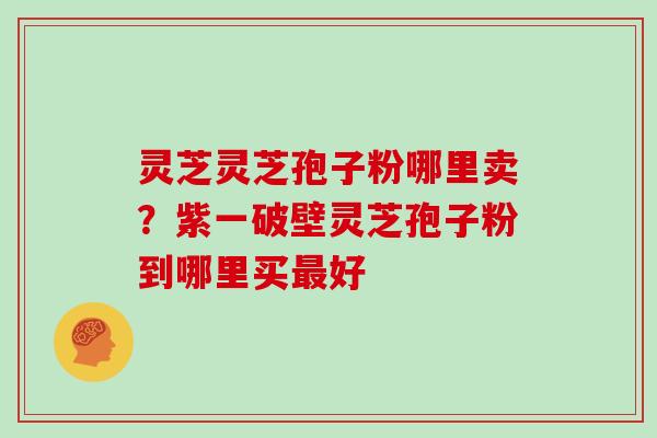 灵芝灵芝孢子粉哪里卖？紫一破壁灵芝孢子粉到哪里买最好
