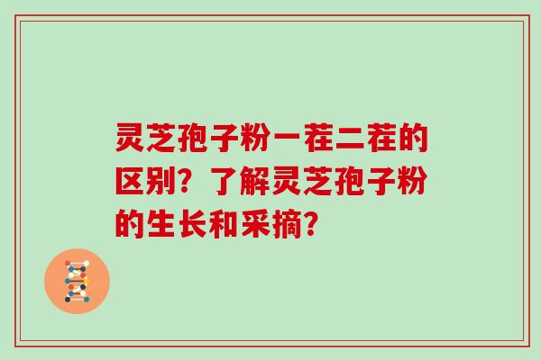 灵芝孢子粉一茬二茬的区别？了解灵芝孢子粉的生长和采摘？