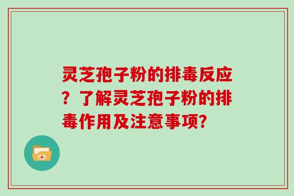 灵芝孢子粉的排毒反应？了解灵芝孢子粉的排毒作用及注意事项？