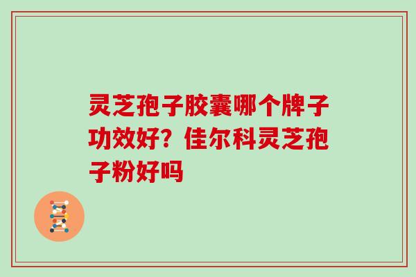 灵芝孢子胶囊哪个牌子功效好？佳尔科灵芝孢子粉好吗