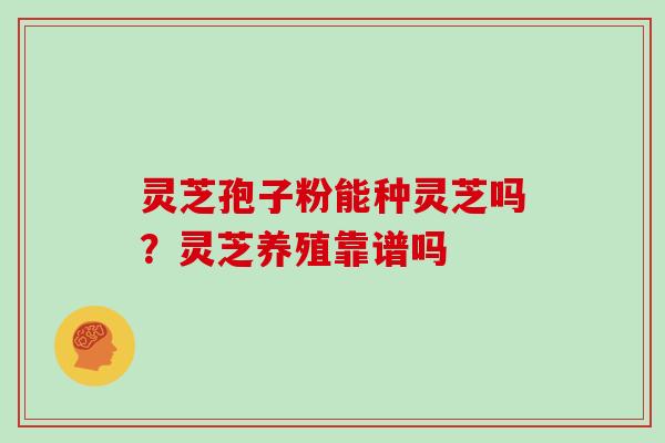 灵芝孢子粉能种灵芝吗？灵芝养殖靠谱吗