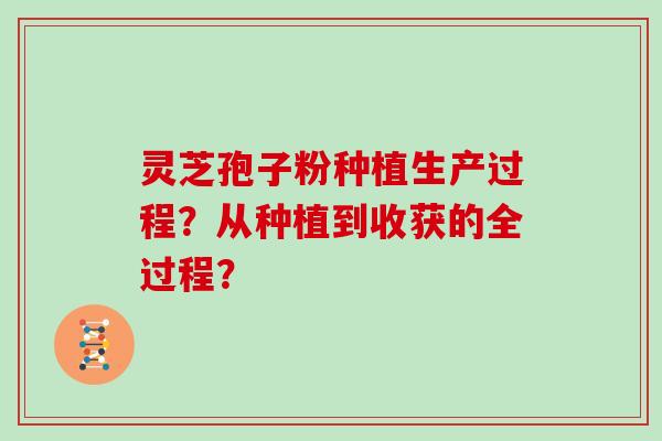灵芝孢子粉种植生产过程？从种植到收获的全过程？