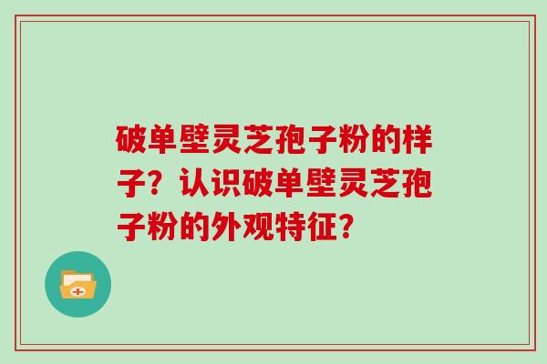 破单壁灵芝孢子粉的样子？认识破单壁灵芝孢子粉的外观特征？
