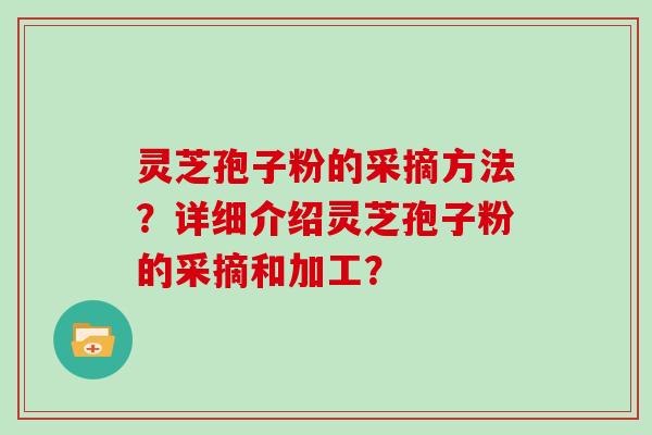 灵芝孢子粉的采摘方法？详细介绍灵芝孢子粉的采摘和加工？