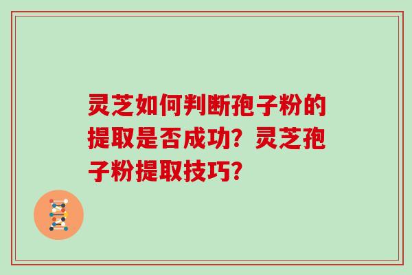 灵芝如何判断孢子粉的提取是否成功？灵芝孢子粉提取技巧？