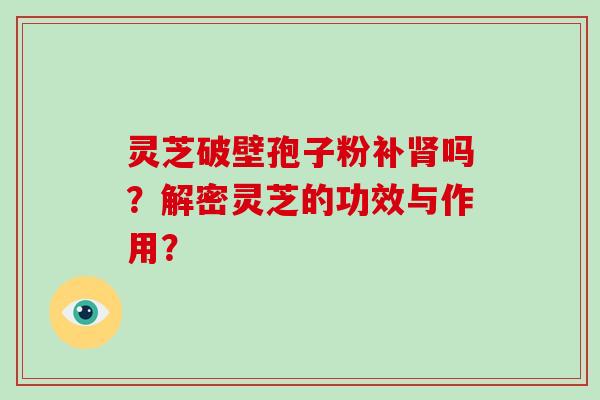 灵芝破壁孢子粉补肾吗？解密灵芝的功效与作用？
