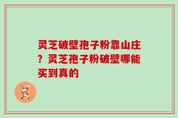 灵芝破壁孢子粉靠山庄？灵芝孢子粉破壁哪能买到真的