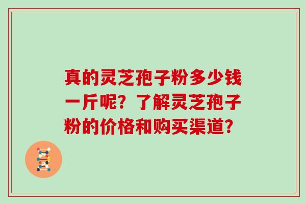真的灵芝孢子粉多少钱一斤呢？了解灵芝孢子粉的价格和购买渠道？