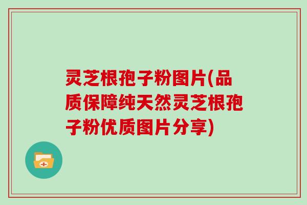 灵芝根孢子粉图片(品质保障纯天然灵芝根孢子粉优质图片分享)