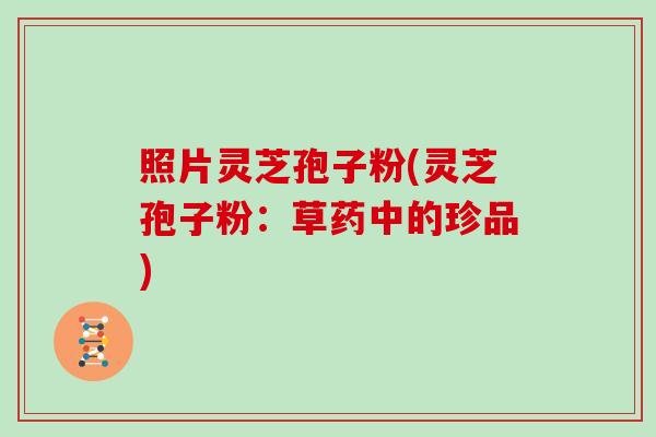 照片灵芝孢子粉(灵芝孢子粉：草药中的珍品)