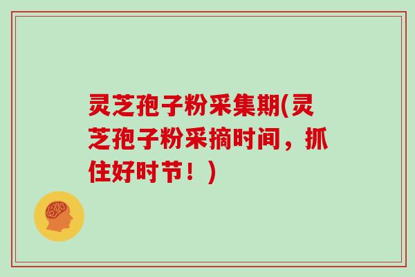 灵芝孢子粉采集期(灵芝孢子粉采摘时间，抓住好时节！)