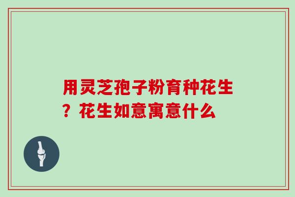 用灵芝孢子粉育种花生？花生如意寓意什么