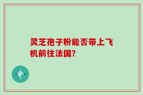 灵芝孢子粉能否带上飞机前往法国？