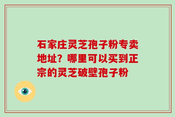 石家庄灵芝孢子粉专卖地址？哪里可以买到正宗的灵芝破壁孢子粉