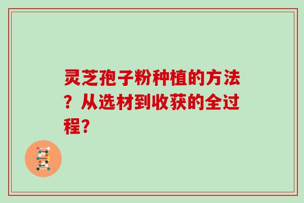 灵芝孢子粉种植的方法？从选材到收获的全过程？