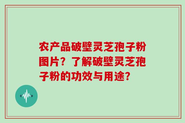 农产品破壁灵芝孢子粉图片？了解破壁灵芝孢子粉的功效与用途？