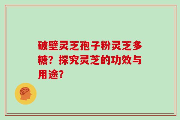 破壁灵芝孢子粉灵芝多糖？探究灵芝的功效与用途？