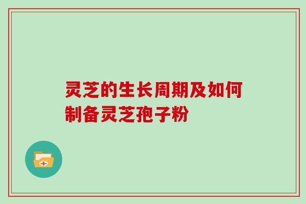 灵芝的生长周期及如何制备灵芝孢子粉-第1张图片-灵芝大师 灵芝的生长周期及如何制备灵芝孢子粉-第1张图片-灵芝大师