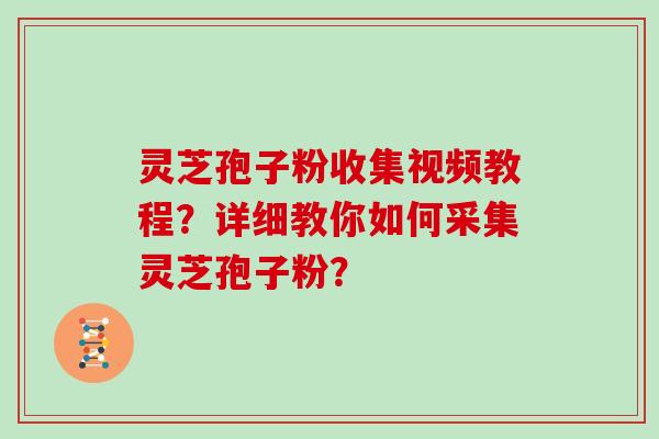 灵芝孢子粉收集视频教程？详细教你如何采集灵芝孢子粉？