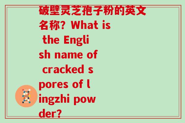 破壁灵芝孢子粉的英文名称？What is the English name of cracked spores of lingzhi powder？