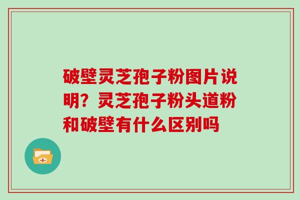 破壁灵芝孢子粉图片说明？灵芝孢子粉头道粉和破壁有什么区别吗