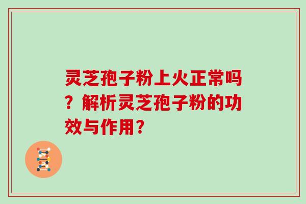 灵芝孢子粉上火正常吗？解析灵芝孢子粉的功效与作用？