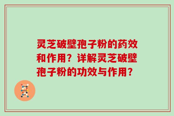 灵芝破壁孢子粉的药效和作用？详解灵芝破壁孢子粉的功效与作用？