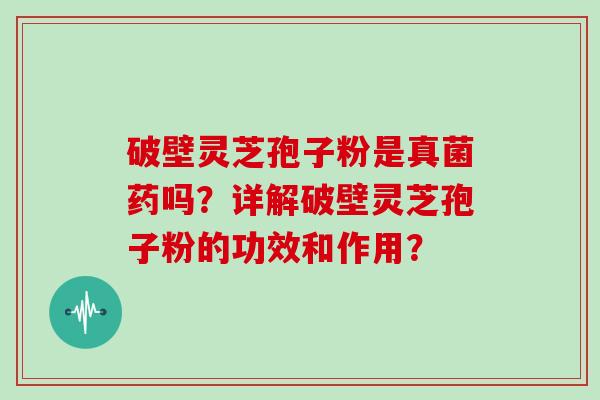 破壁灵芝孢子粉是真菌药吗?详解破壁灵芝孢子粉的功效和作用?-第1张图片-灵芝大师 破壁灵芝孢子粉是真菌药吗?详解破壁灵芝孢子粉的功效和作用?-第1张图片-灵芝大师