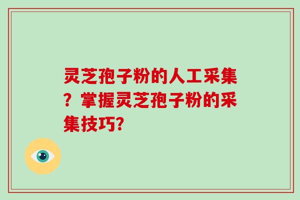 灵芝孢子粉的人工采集?掌握灵芝孢子粉的采集技巧?-第1张图片-灵芝大师 灵芝孢子粉的人工采集?掌握灵芝孢子粉的采集技巧?-第1张图片-灵芝大师