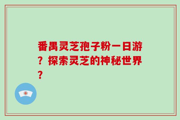 番禺灵芝孢子粉一日游？探索灵芝的神秘世界？
