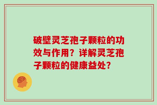 破壁灵芝孢子颗粒的功效与作用？详解灵芝孢子颗粒的健康益处？