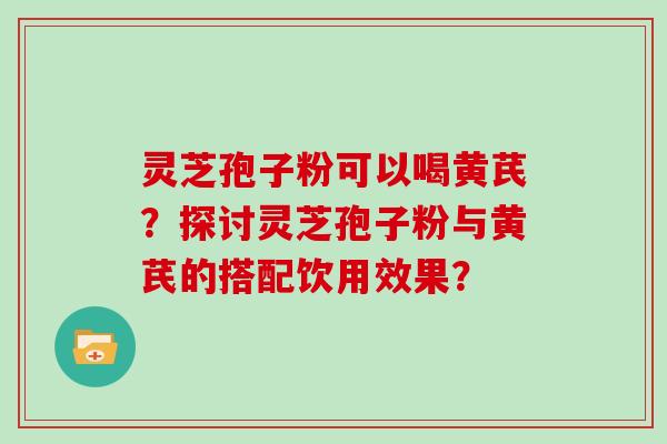 灵芝孢子粉可以喝黄芪？探讨灵芝孢子粉与黄芪的搭配饮用效果？