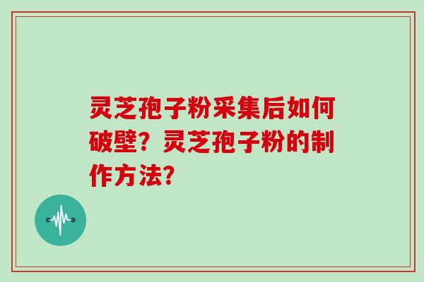 灵芝孢子粉采集后如何破壁？灵芝孢子粉的制作方法？