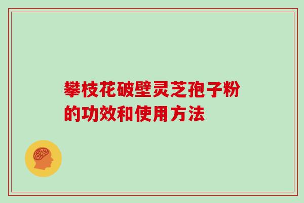 攀枝花破壁灵芝孢子粉的功效和使用方法