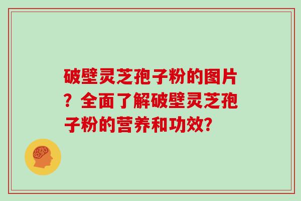 破壁灵芝孢子粉的图片？全面了解破壁灵芝孢子粉的营养和功效？