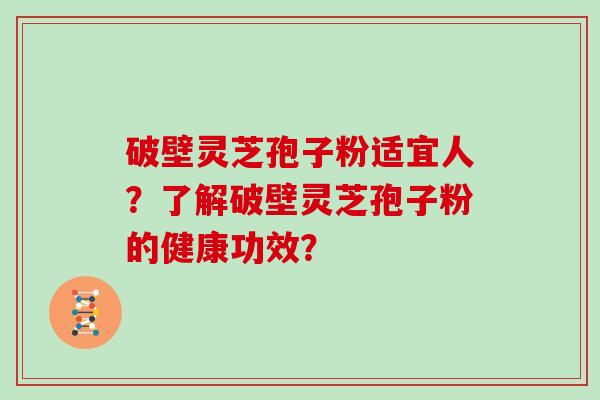 破壁灵芝孢子粉适宜人？了解破壁灵芝孢子粉的健康功效？