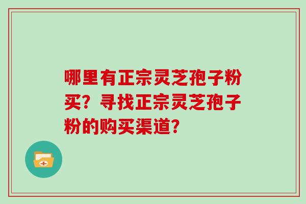 哪里有正宗灵芝孢子粉买？寻找正宗灵芝孢子粉的购买渠道？