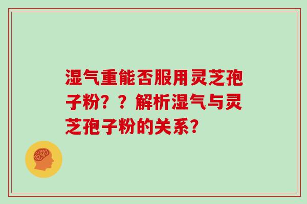 湿气重能否服用灵芝孢子粉？？解析湿气与灵芝孢子粉的关系？