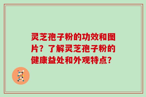 灵芝孢子粉的功效和图片？了解灵芝孢子粉的健康益处和外观特点？