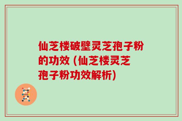 仙芝楼破壁灵芝孢子粉的功效 (仙芝楼灵芝孢子粉功效解析)