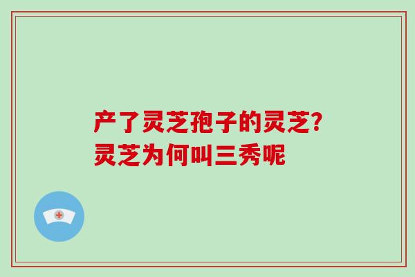产了灵芝孢子的灵芝？灵芝为何叫三秀呢